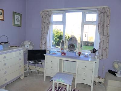 Picture 17